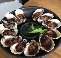 Get Shucked Oyster - Accommodation Daintree