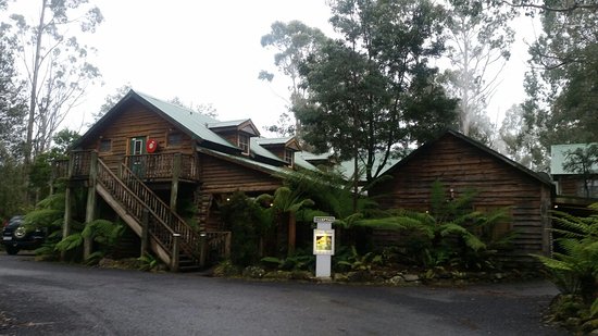 Moina TAS Accommodation Daintree