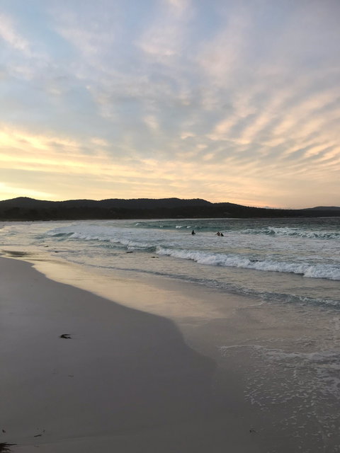 Lichen Restaurant And Cafe - Accommodation Daintree 2