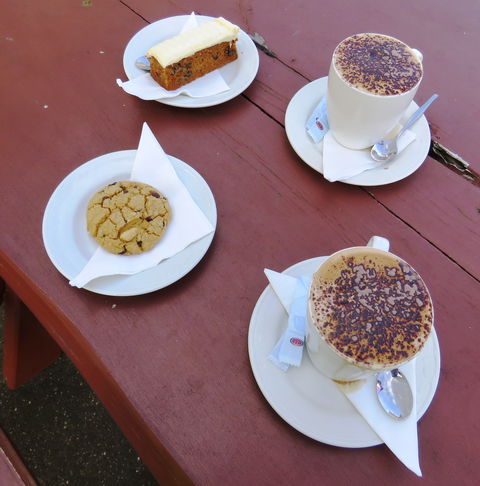 Nut Rock Cafe - Accommodation Daintree 3
