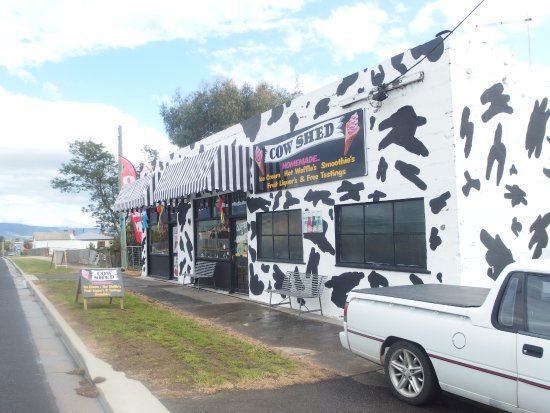 Avoca TAS Accommodation Daintree