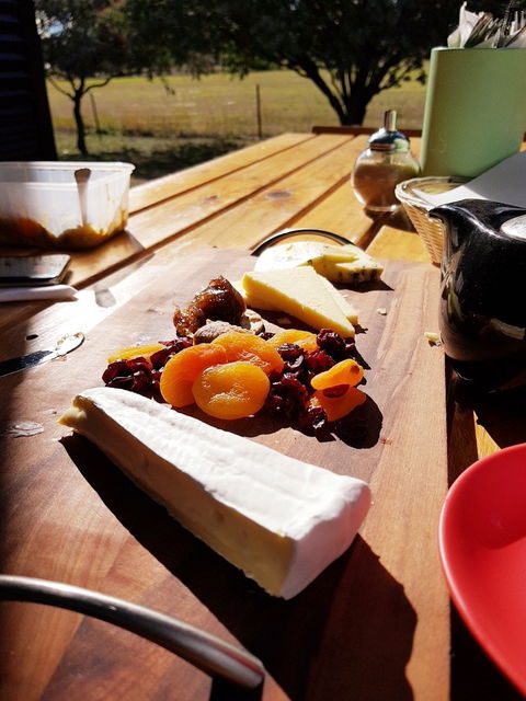Wicked Cheese Factory - Accommodation Daintree 2