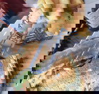 Essence Cafe - Accommodation Daintree