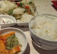Katsu Japanese Restaurant - Accommodation Daintree