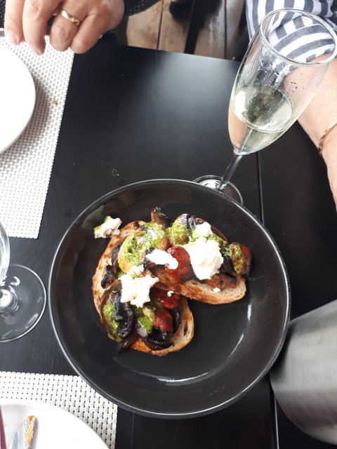 Plume - Accommodation Daintree 1