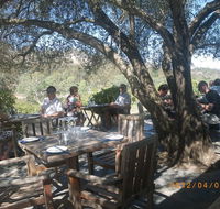 Skillogalee Winery  Restaurant - Accommodation Daintree