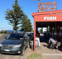 Fish - Accommodation Daintree