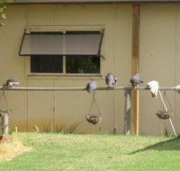 Sandy Grove - Accommodation Daintree