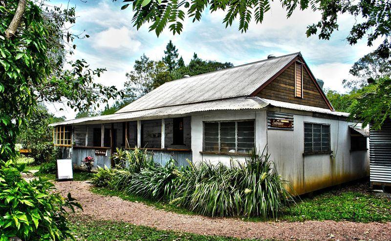 Broadbeach Waters QLD Accommodation Daintree