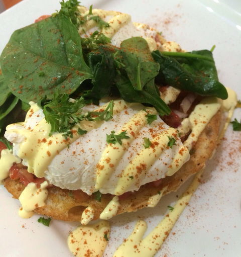 Wicked Beans Cafe - Accommodation Daintree 5
