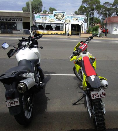 Kingaroy QLD Accommodation Daintree