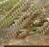 Gardens Tearooms - Accommodation Daintree