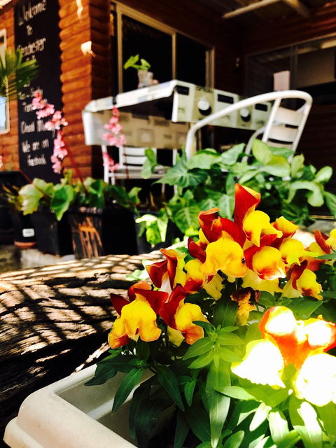 Peachester Cafe - Accommodation Daintree 2