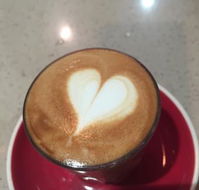 Sweet Tempered Chocolateria - Accommodation Daintree