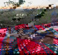 Bunnyconnellen Olive Grove  Vineyard - Accommodation Daintree