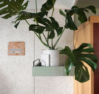 ACE Hotel Sydney - Accommodation Daintree