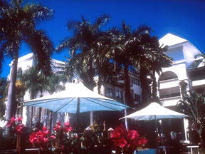 Alamanda Palm Cove - Accommodation Daintree 1