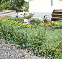 SureStay by BW The Clarence on Melville - Accommodation Daintree