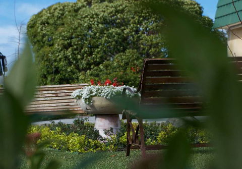 SureStay By BW The Clarence On Melville - Accommodation Daintree 1
