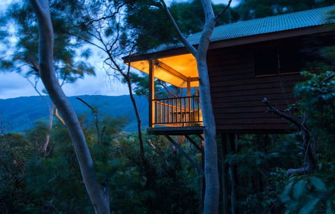 Thala Beach Nature Reserve - Accommodation Daintree 0