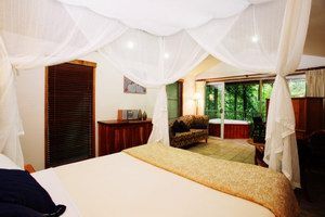 Daintree Eco Lodge & Spa - Accommodation Daintree 1