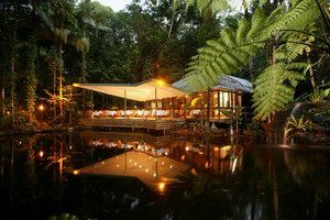 Daintree Eco Lodge & Spa - Accommodation Daintree 2