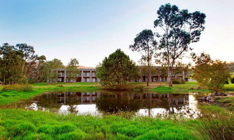 York On Lilydale Resort - Accommodation Daintree 0