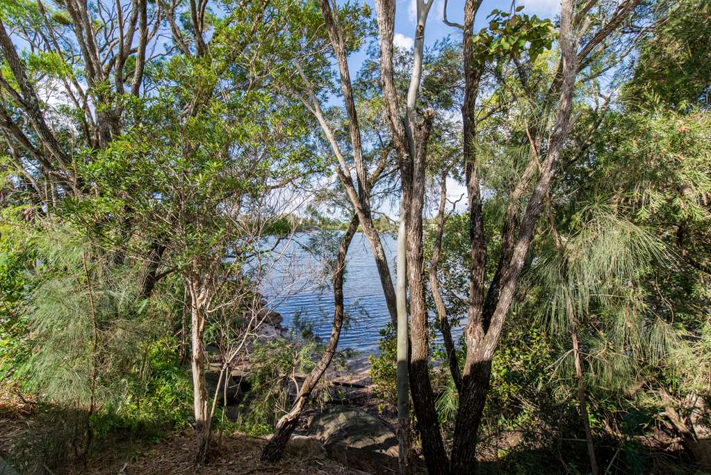 Diddillibah QLD Accommodation Daintree