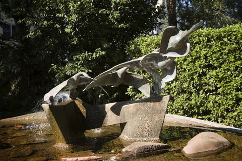 University House - ANU - Accommodation Daintree 33