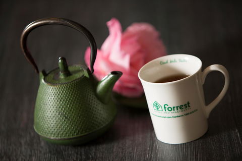 Forrest Hotel & Apartments - Accommodation Daintree 25