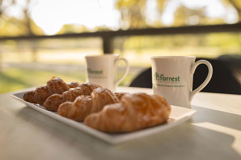 Forrest Hotel & Apartments - Accommodation Daintree 8
