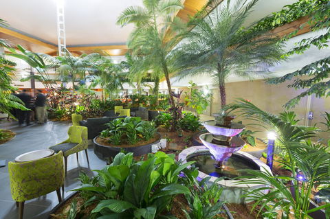 Pavilion On Northbourne - Accommodation Daintree 2