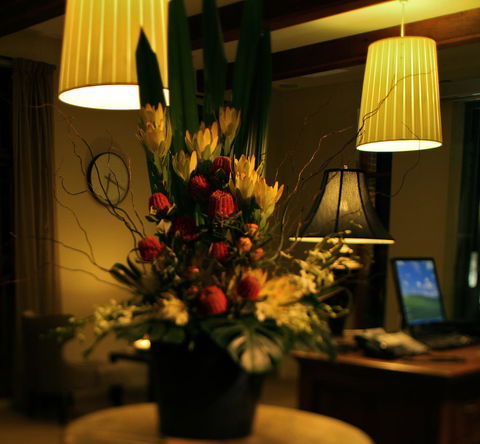 De Russie Boutique Hotel - Accommodation Daintree 26