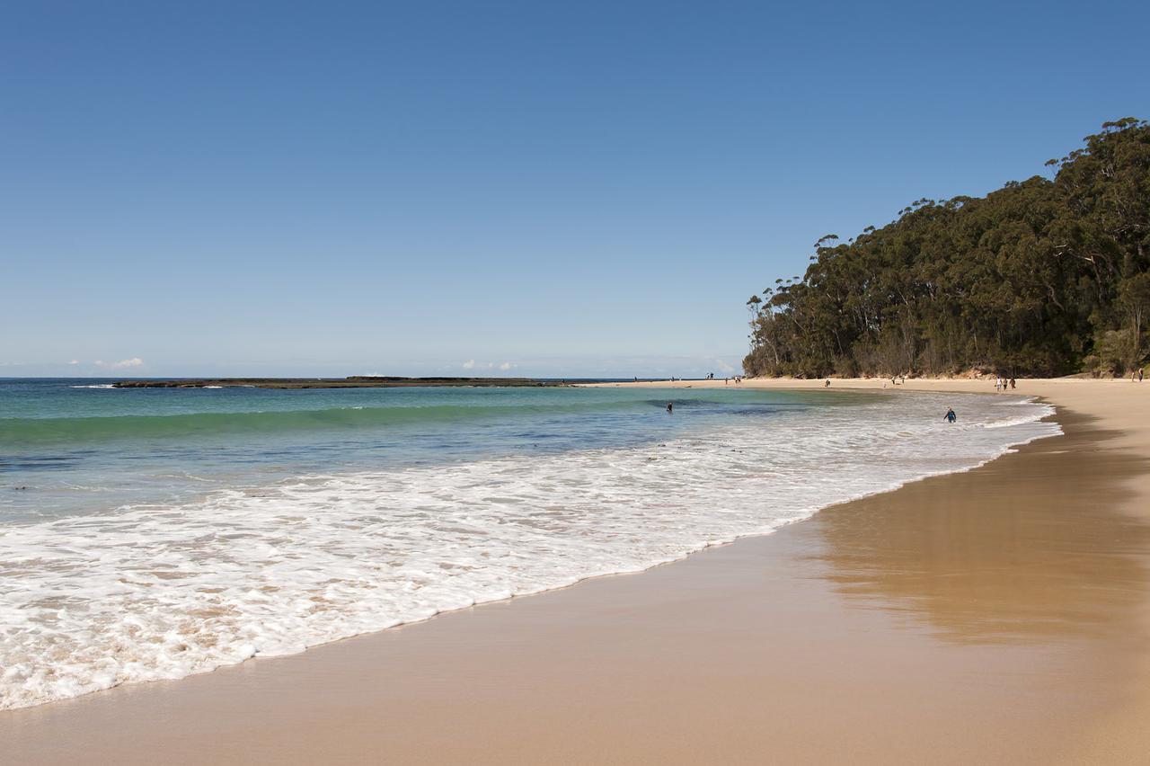 Mollymook NSW Accommodation Daintree