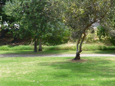 Victor Harbor Holiday Park - Accommodation Daintree 24