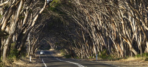 Mercure Kangaroo Island Lodge - Accommodation Daintree 40