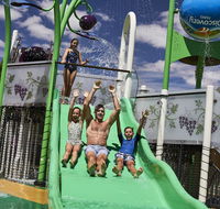 Discovery Parks  Barossa Valley - Accommodation Daintree