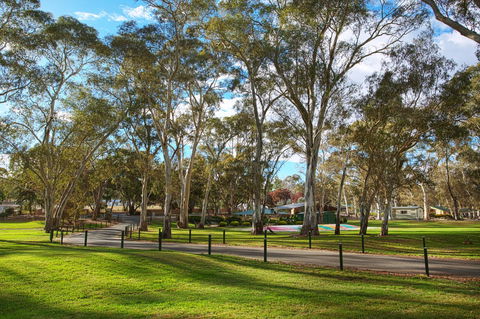 Discovery Parks - Clare - Accommodation Daintree 19