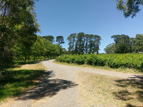 Lost In The Vines - Accommodation Daintree 28