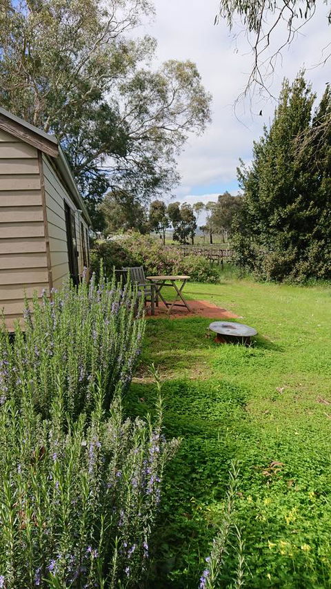 Lost In The Vines - Accommodation Daintree 22