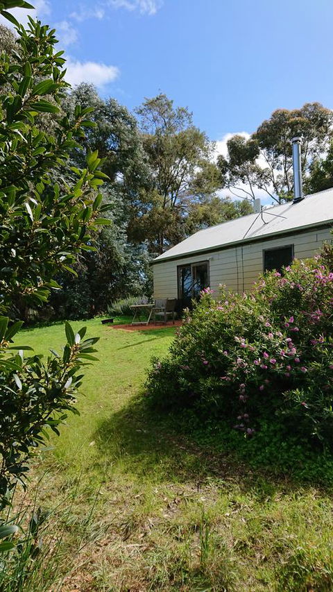 Lost In The Vines - Accommodation Daintree 26