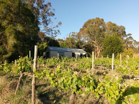 Lost In The Vines - Accommodation Daintree 25