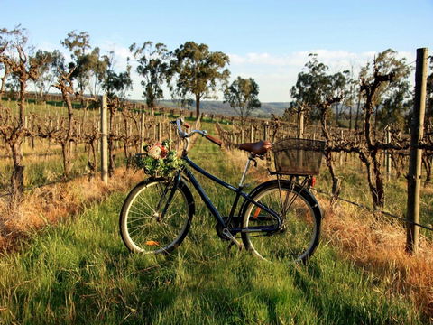 Lost In The Vines - Accommodation Daintree 17