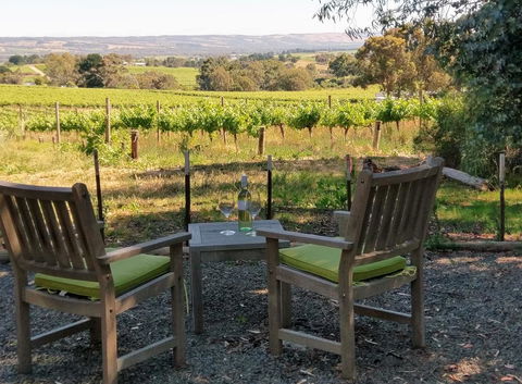 Lost In The Vines - Accommodation Daintree 23
