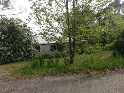 Lost In The Vines - Accommodation Daintree 24