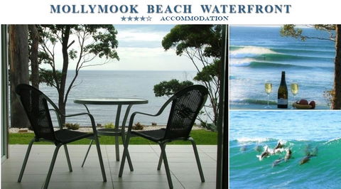 Mollymook Beach Waterfront - Accommodation Daintree 1