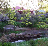 Frog Song at Willunga - Accommodation Daintree