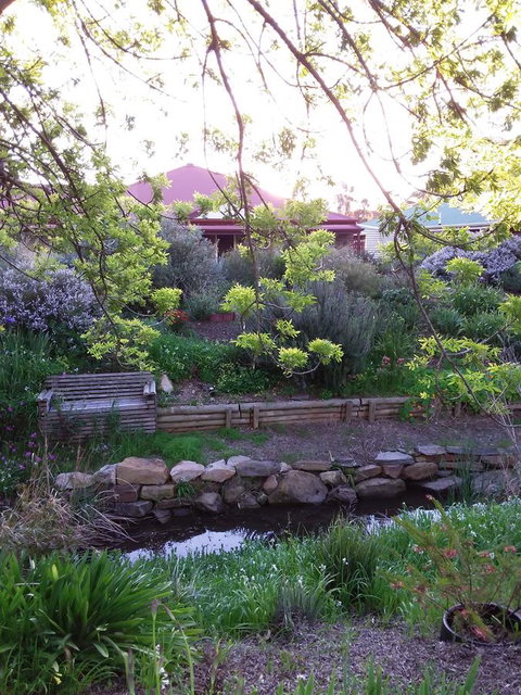 Frog Song At Willunga - Accommodation Daintree 0