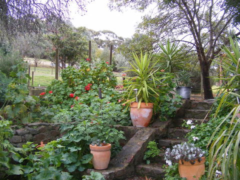 Trevalia Accommodation - Accommodation Daintree 13