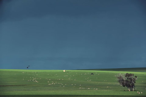 Boutique Getaway On Wright - Accommodation Daintree 29